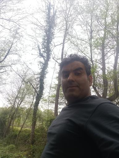 عکس جنگل علی اباد چمستان