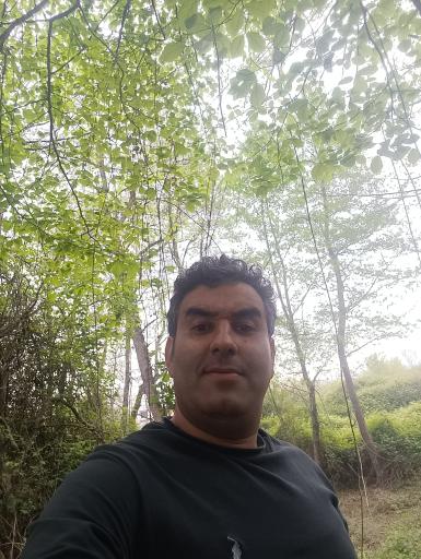 عکس جنگل علی اباد چمستان