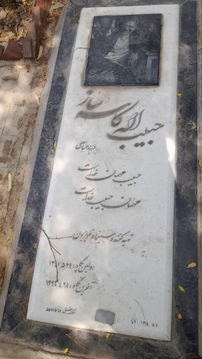 عکس قطعه 88 هنرمندان