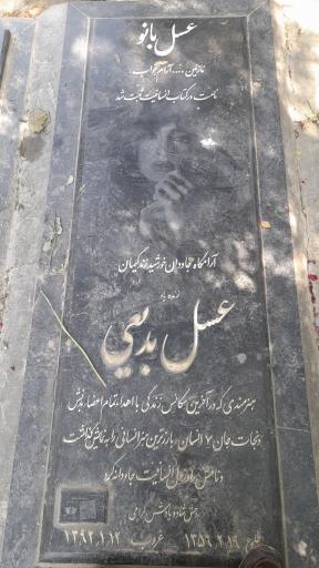 عکس قطعه 88 هنرمندان