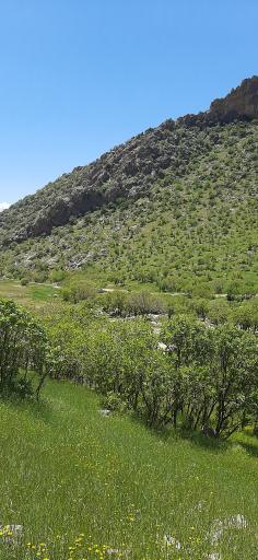 عکس تنگه بزازخانه کرمانشاه