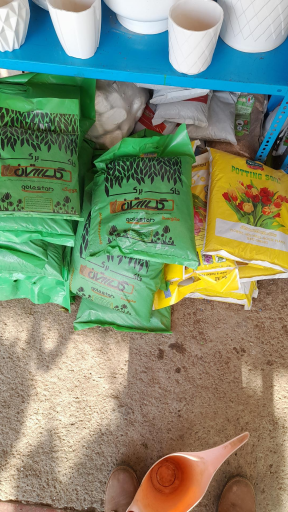 عکس گل فروشی و سفال مهستان