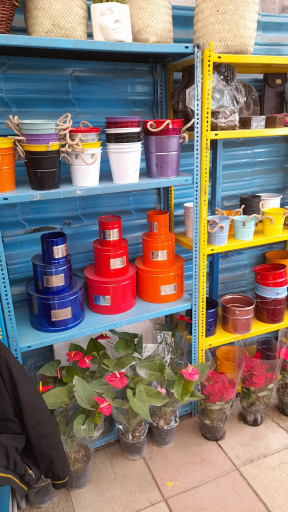 عکس گل فروشی و سفال مهستان