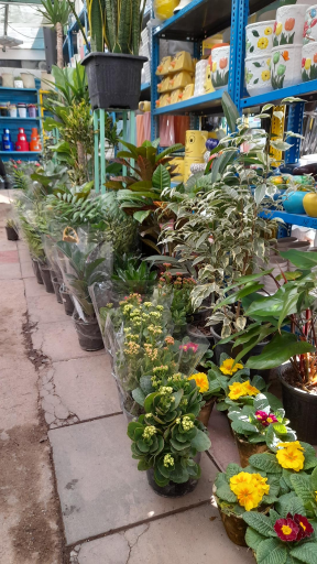 عکس گل فروشی و سفال مهستان