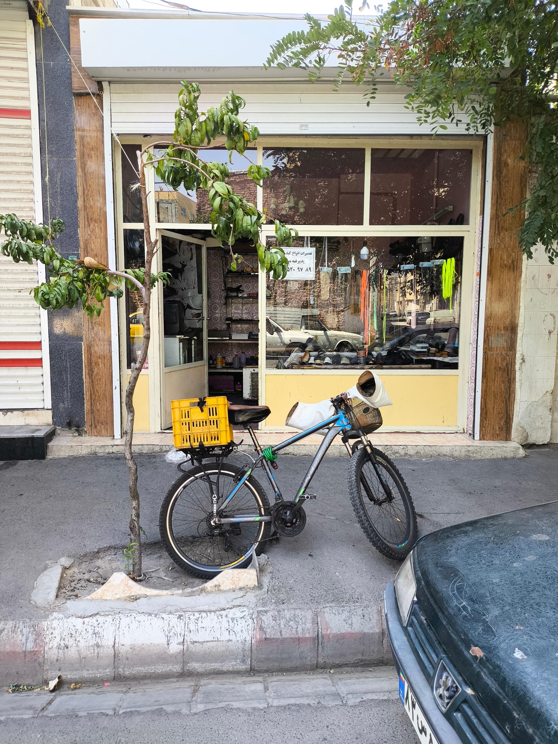 عکس کفاشی ستاری