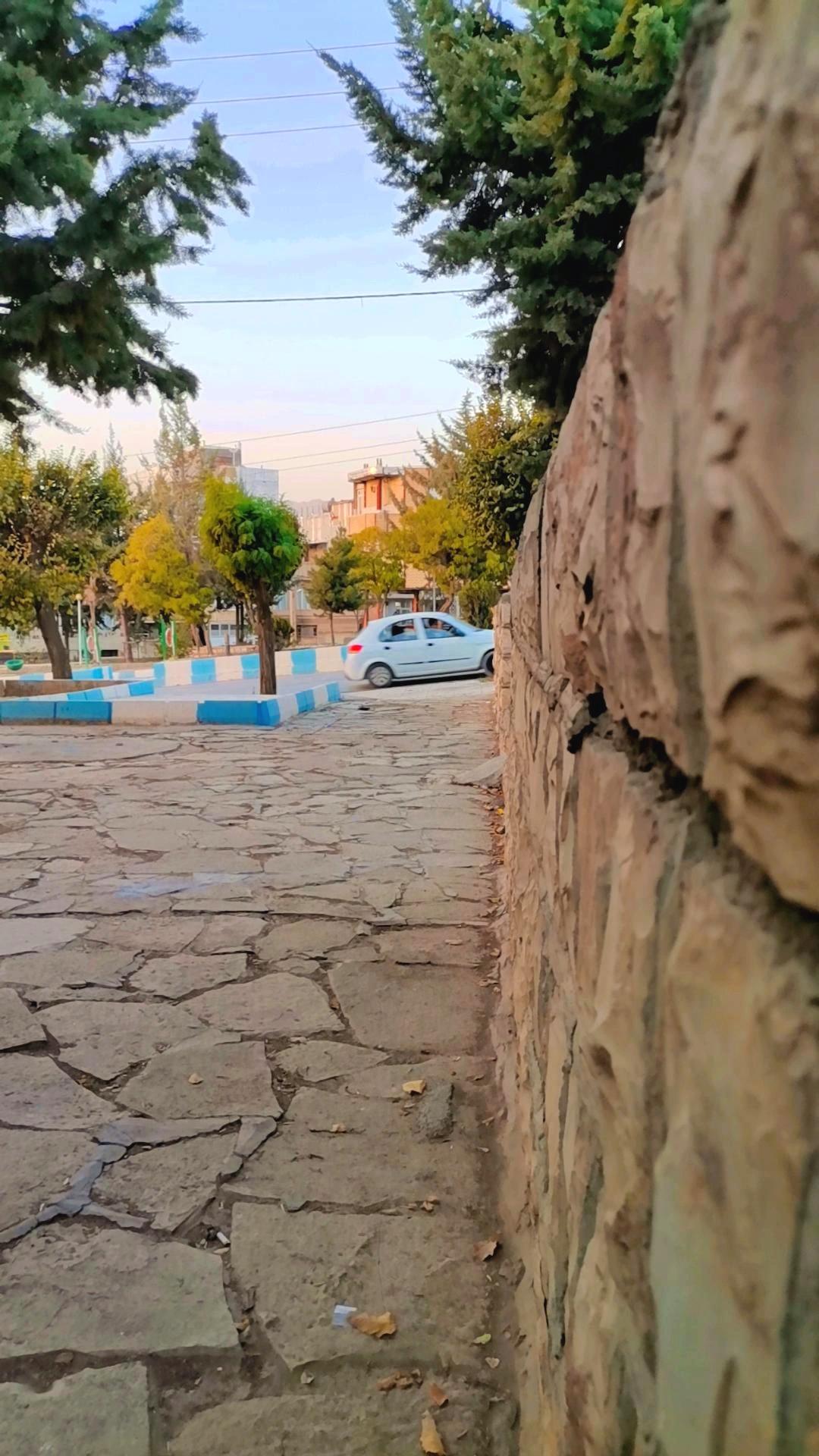 عکس پارک شاهد 