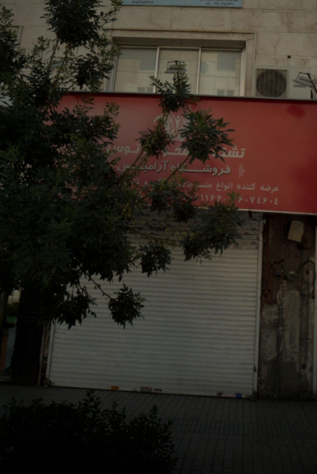 عکس تشک خوشخواب توس