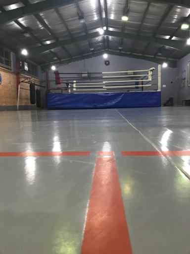 عکس آکادمی بوکس آروکو