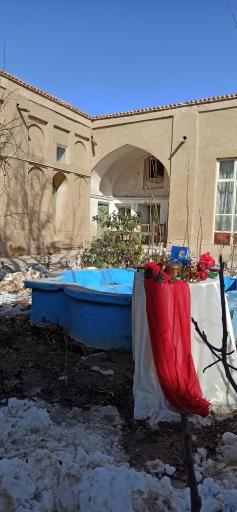 عکس طالخونچه