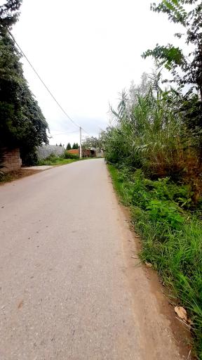 عکس جوریاب