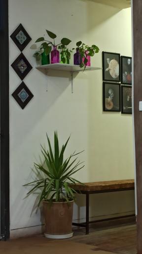 عکس آموزشگاه موسیقی عارف 