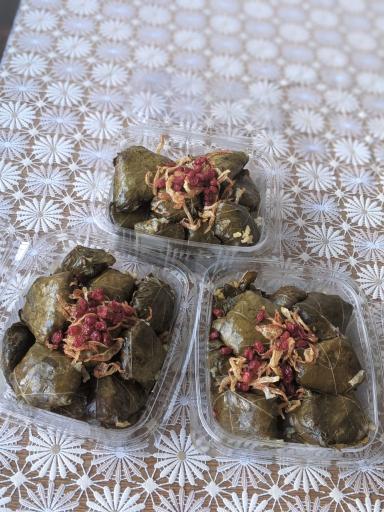 عکس کترینگ آنا