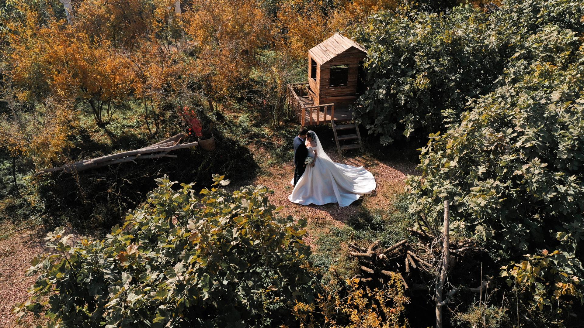 عکس استودیو شاپرک