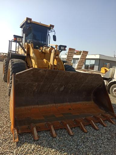 عکس نمایشگاه قهرمانی 