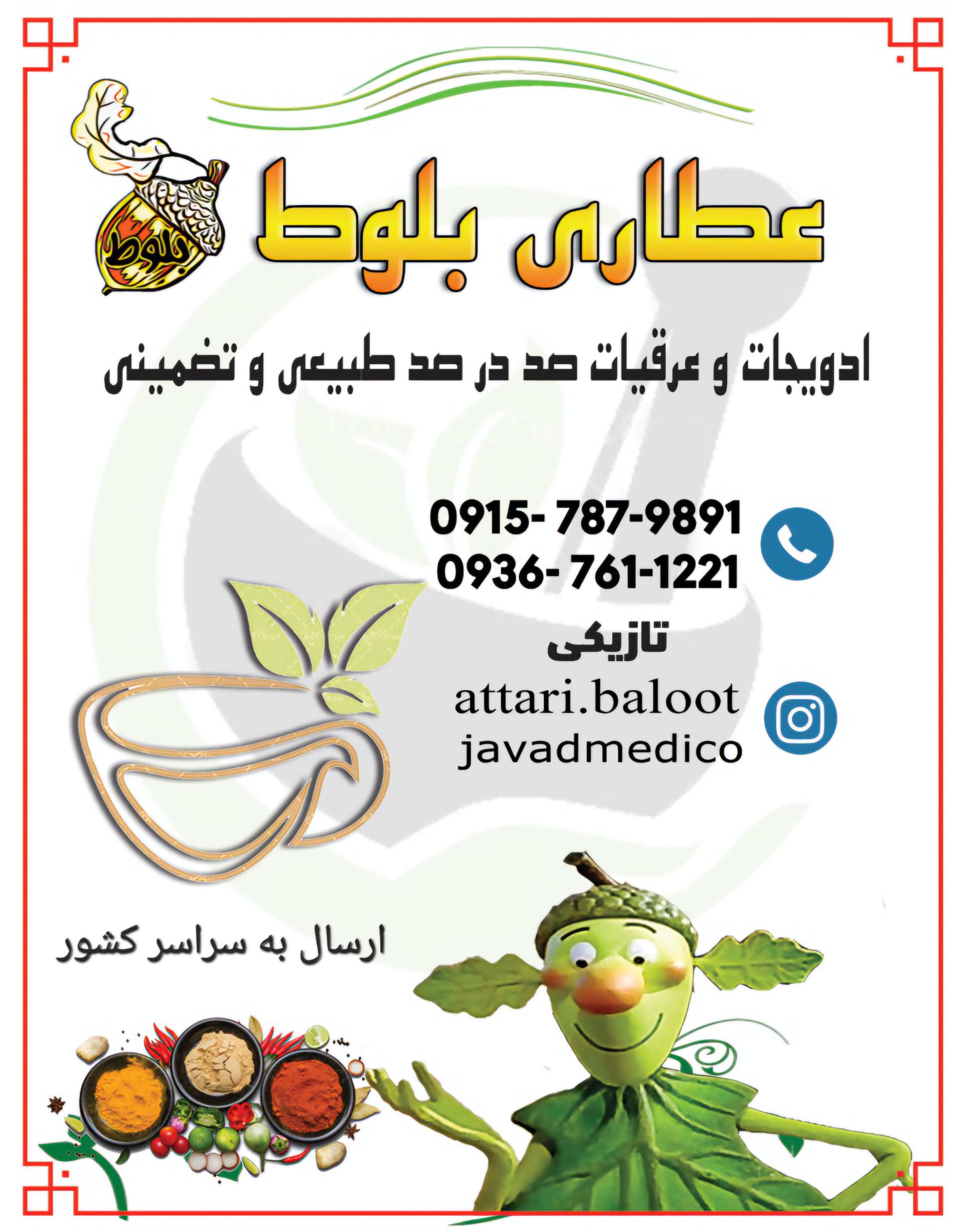 عکس گیاهان دارویی بلوط