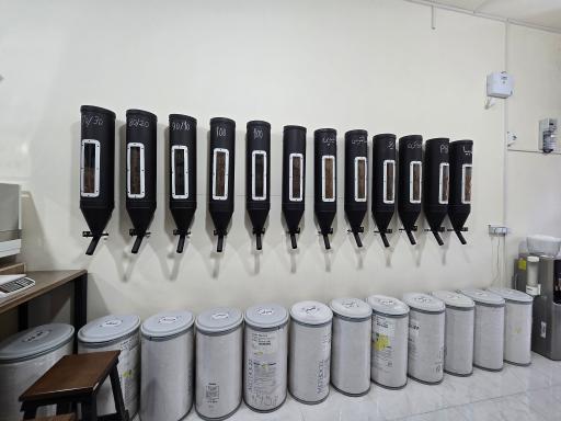 عکس پخش کلی و جزئی قهوه محمودی