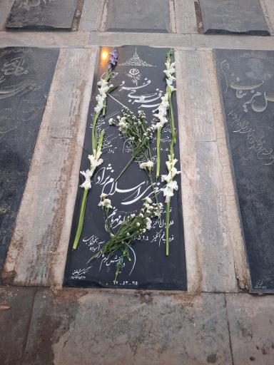 عکس قطعه 304