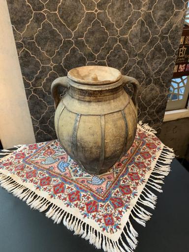 عکس بولونی