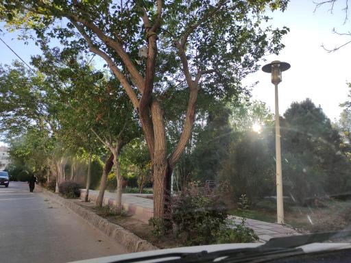 عکس بوستان نبوت