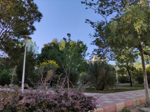 عکس بوستان نبوت