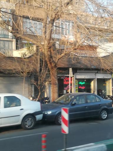 دوزندگی اتومبیل عطایی 