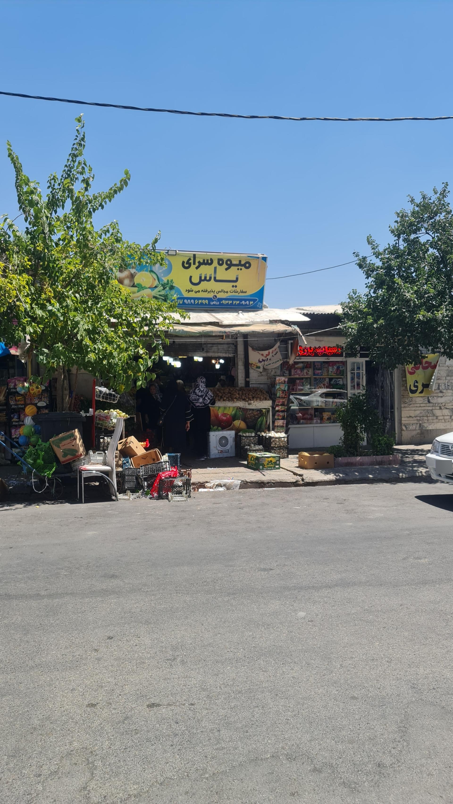 عکس میوه سرای یاس