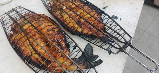 عکس باغ رستوران گیلدا