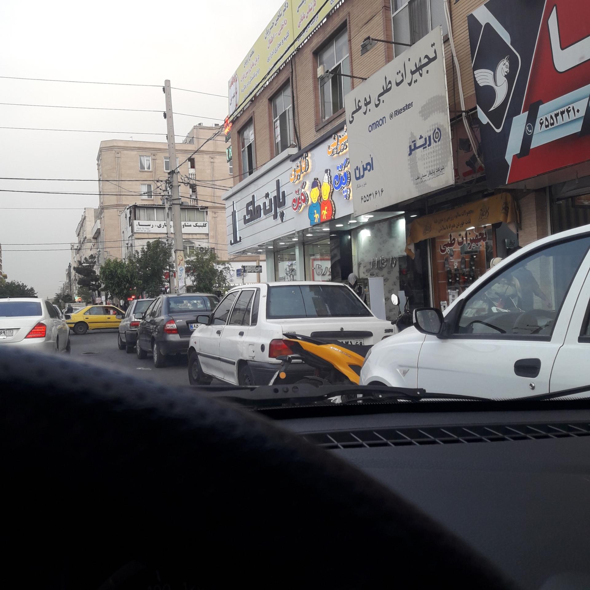 عکس نان فانتزی پت و مت