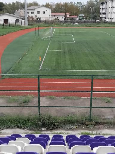 زمین چمن فوتبال وحدت