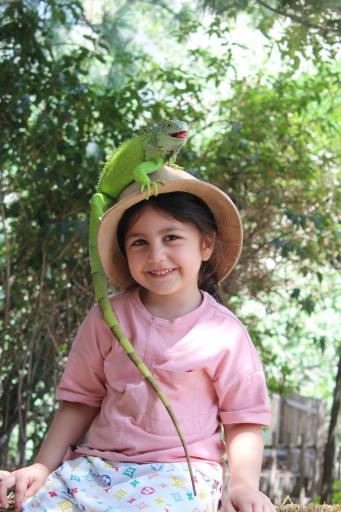 عکس کلبه خزندگان 