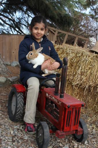 عکس کلبه خزندگان 