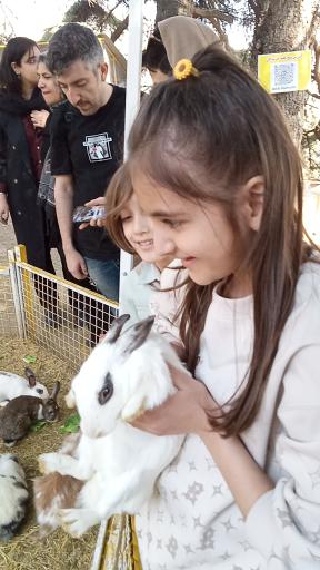 کلبه خزندگان 