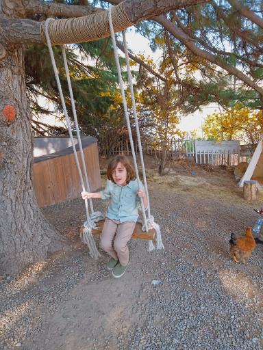 عکس کلبه خزندگان 