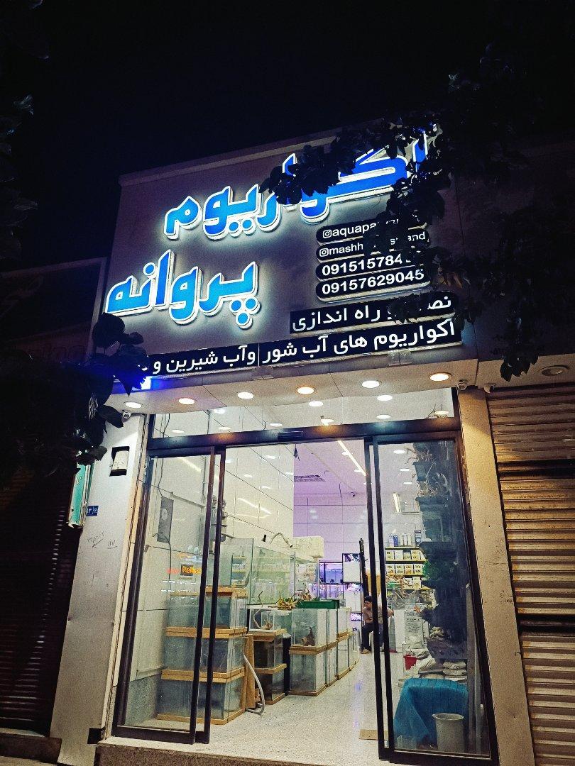 عکس اکواریوم پروانه