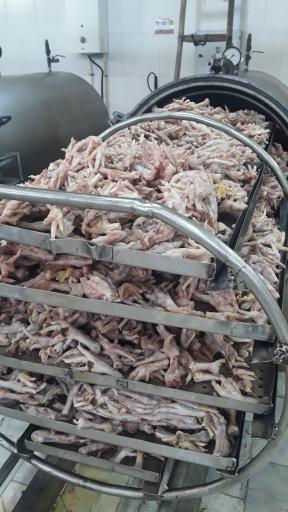 عکس کارخانه شایر