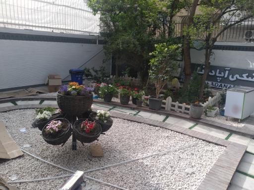 عکس کیلینیک دامپزشکی آپادانا