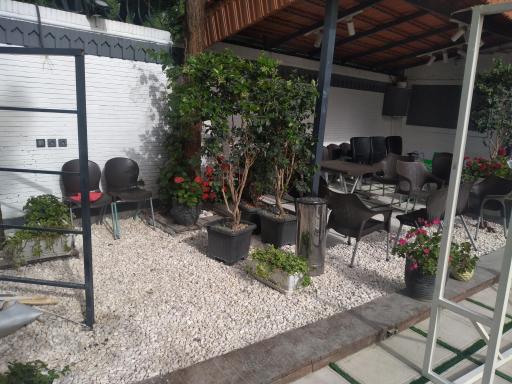 عکس کیلینیک دامپزشکی آپادانا