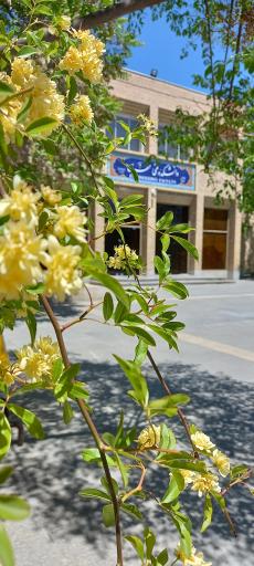 عکس دانشگاه رازی کرمانشاه