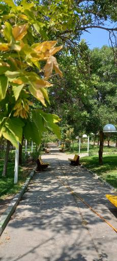 عکس دانشگاه رازی کرمانشاه