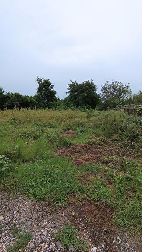 عکس بوستان متین