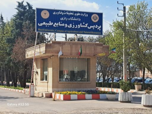 عکس دانشگاه رازی کرمانشاه