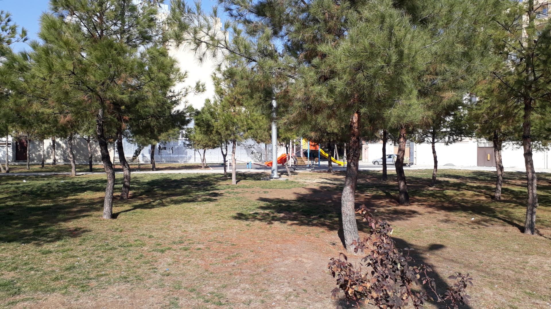 عکس پارک طلوع