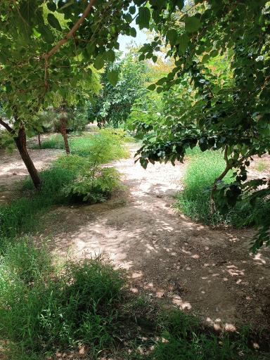 عکس بوستان متین