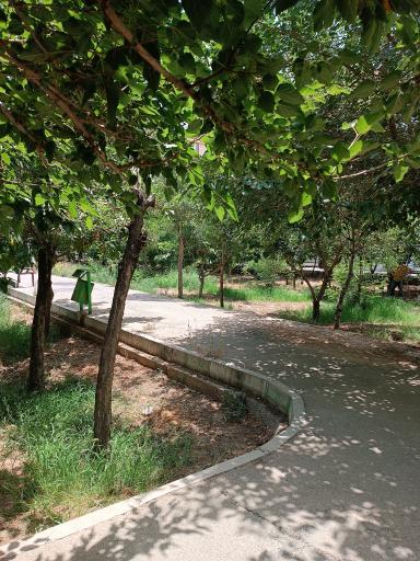 عکس بوستان متین