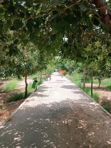 عکس بوستان متین