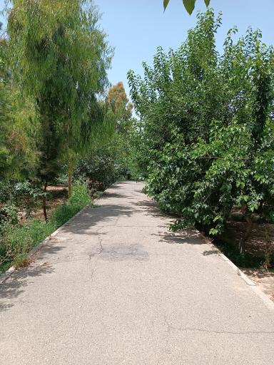 عکس بوستان متین