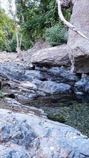 عکس بوستان متین