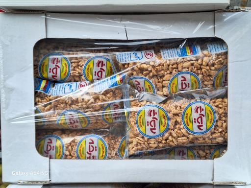 عکس پخش شیتزو