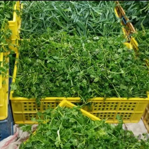 عکس سبزیجات آماده سحر