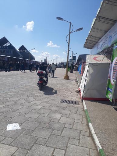 عکس منطقه آزاد انزلی